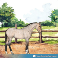 Horse Color:Bay Roan Dun
