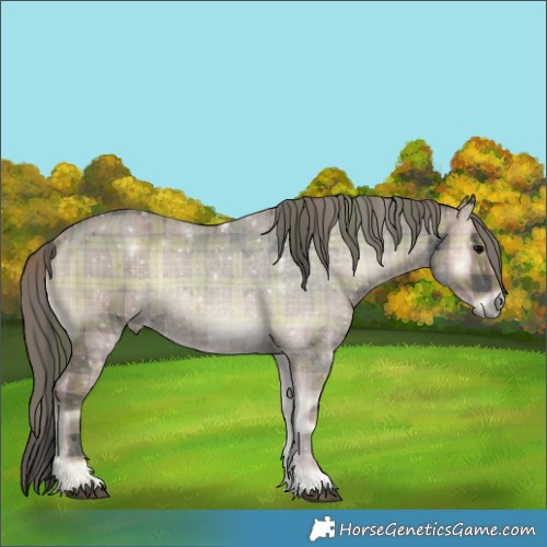 Horse Color:Plaid  Blue Onyx 