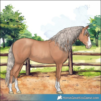 Horse Color:Gold Champagne