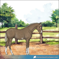 Horse Color:Silver Smoky Black 