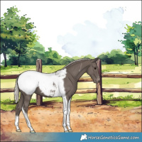 Horse Color:Silver Black Tobiano Snowcap 