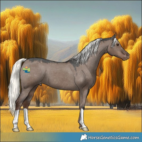 Horse Color:Liver Red Dun Mushroom Appaloosa 