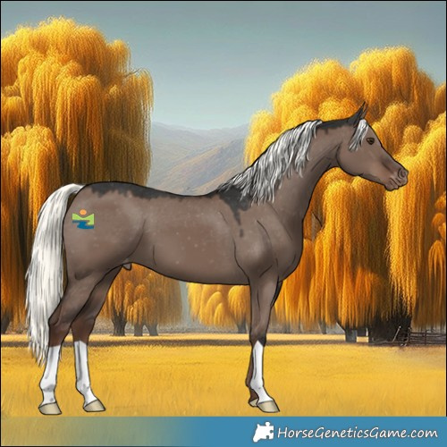 Horse Color:Liver Red Dun Mushroom Varnish 