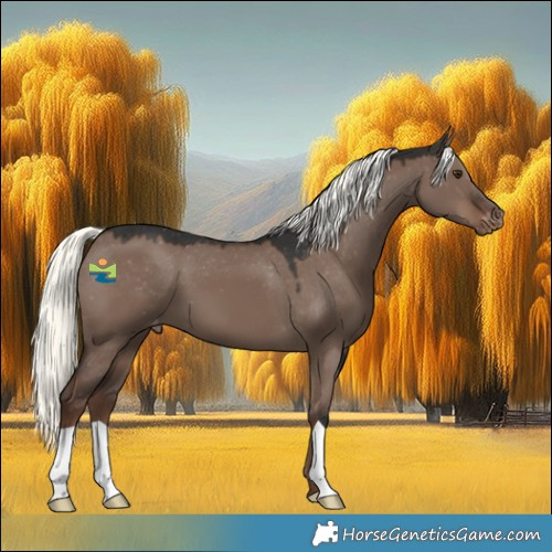 Horse Color:Liver Red Dun Mushroom Appaloosa