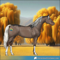 Horse Color:Liver Red Dun Mushroom Appaloosa 