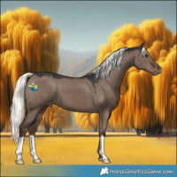 Horse Color:Liver Red Dun Mushroom Varnish 