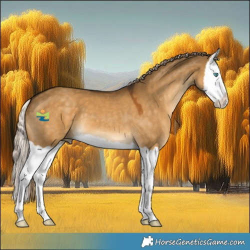 Horse Color:Chocolate Palomino Dun Splash 