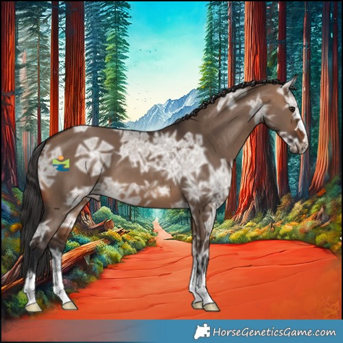 Horse Color:Brown Ice Dun 