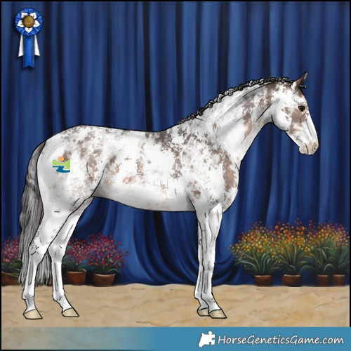 Horse Color:Brown Ice Sabino 