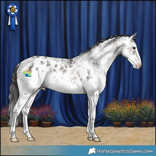Horse Color:Brown Ice Sabino 