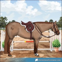 Horse Color:Red Dun Rabicano 