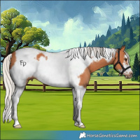 Horse Color:Silver Bay Tobiano Frame 