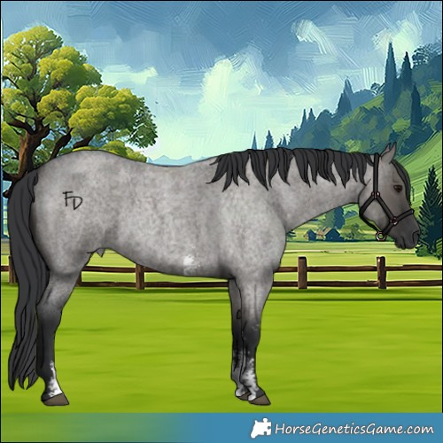 Horse Color:Grullo Roan Sabino Rabicano 
