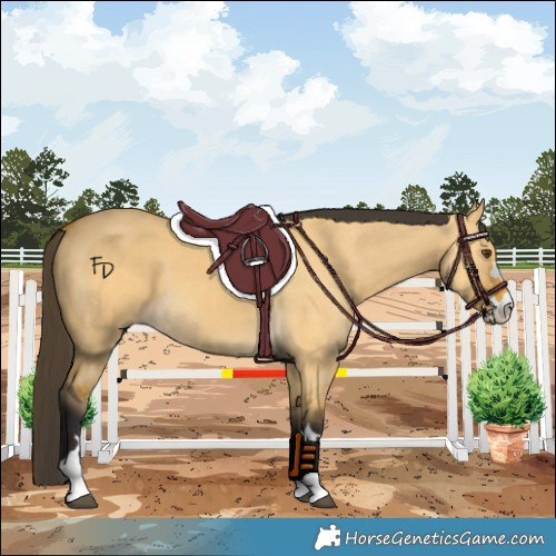 Horse Color:Buckskin Dun Rabicano 