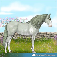 Horse Color:Watercolor Gold Champagne Sabino 