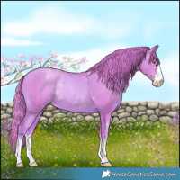 Horse Color:Watercolor Gold Champagne