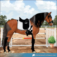 Horse Color:ERROR: UNKNOWN ANOMALY