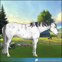 Horse Color:Smoky Black Ice Sabino