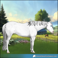Horse Color:Smoky Grullo Ice Sabino Splash 