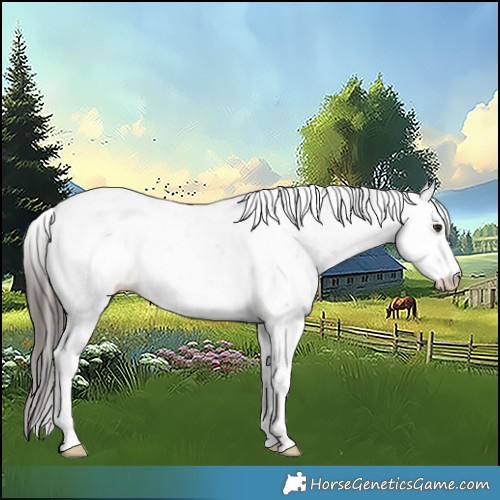 Horse Color:Buckskin Ice Dun Sabino 