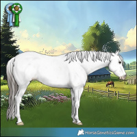 Horse Color:Buckskin Ice Dun Sabino 