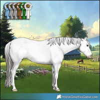 Horse Color:Buckskin Ice Dun Sabino