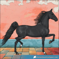 Horse Color:Black 