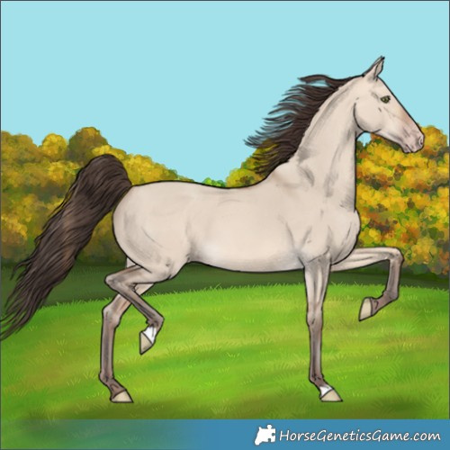 Horse Color:Amber Champagne Dun 