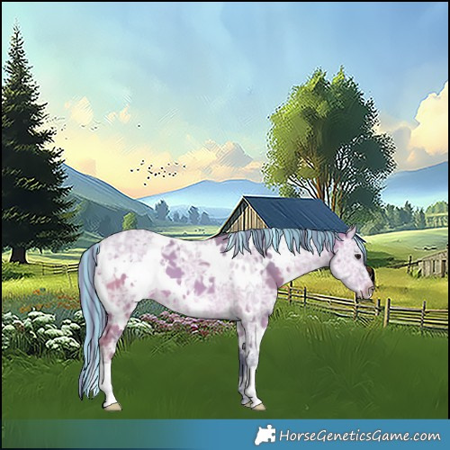 Horse Color:Painted Watercolor White Spotted Brown Ice Dun 