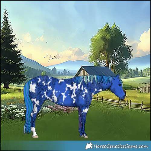 Horse Color:Painted Watercolor White Spotted Black Ice 