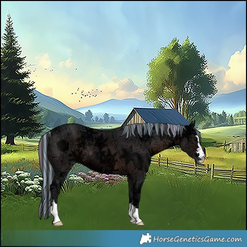 Horse Color:Painted Brown Ice 