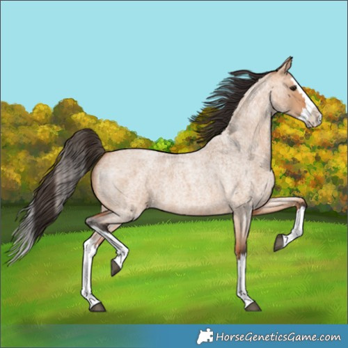 Horse Color:Bay Roan Dun Splash 