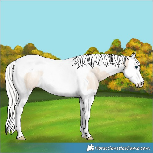 Horse Color:Silver Smoky Creme Splash Tobiano 
