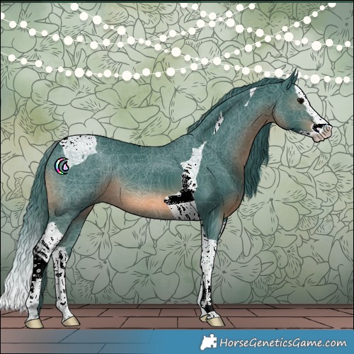 Horse Color:Watercolor Black Splash Tobiano 