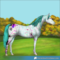 Horse Color:Watercolor Black Ice Tobiano Rabicano 