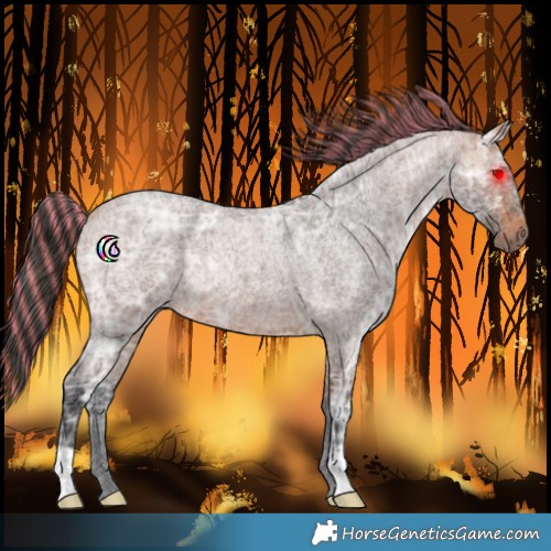 Horse Color:Painted Bay Ice Roan 