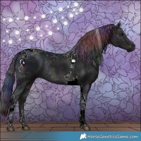 Horse Color:Nacre Midnight Black Ice Tobiano Rabicano