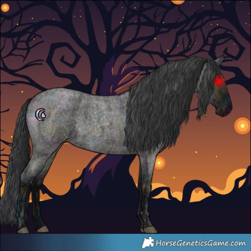 Horse Color:Midnight Grullo Ice Roan 