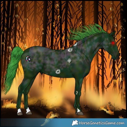 Horse Color:Watercolor Midnight Black Ice 
