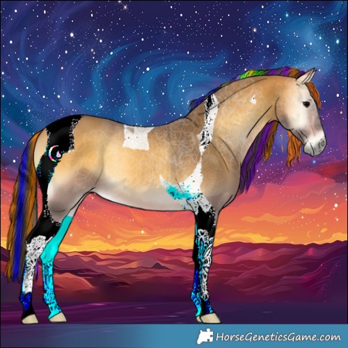 Horse Color:Painted Buckskin Onyx Tobiano 