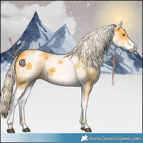 Horse Color:White Spotted Palomino 