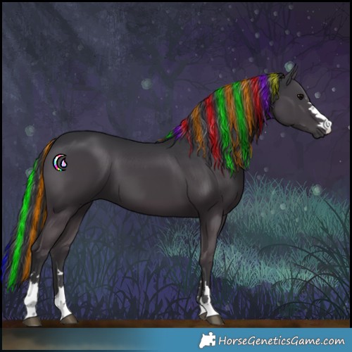 Horse Color:Painted Black 