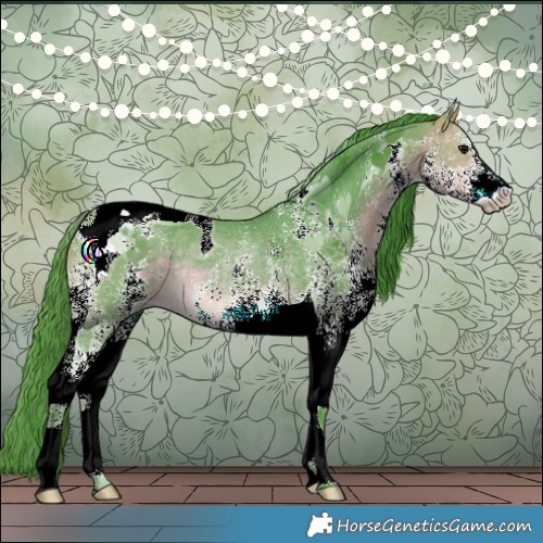 Horse Color:Watercolor White Spotted Buckskin Tobiano Rabicano 