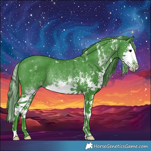 Horse Color:Watercolor White Spotted Smoky Black Splash Rabicano 