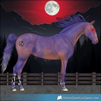 Horse Color:ERROR: UNKNOWN ANOMALY