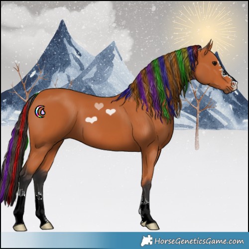 Horse Color:Painted Bay 