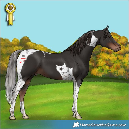 Horse Color:Liver Chestnut Tobiano 