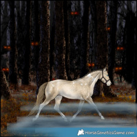Horse Color:White Spotted Bay Snowdrop Pearl Rabicano 