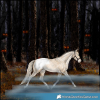 Horse Color:Liver Red Dun Snowdrop Pearl Tobiano Appaloosa Rabicano 