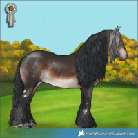 Horse Color:White Spotted Brown Sabino Rabicano 